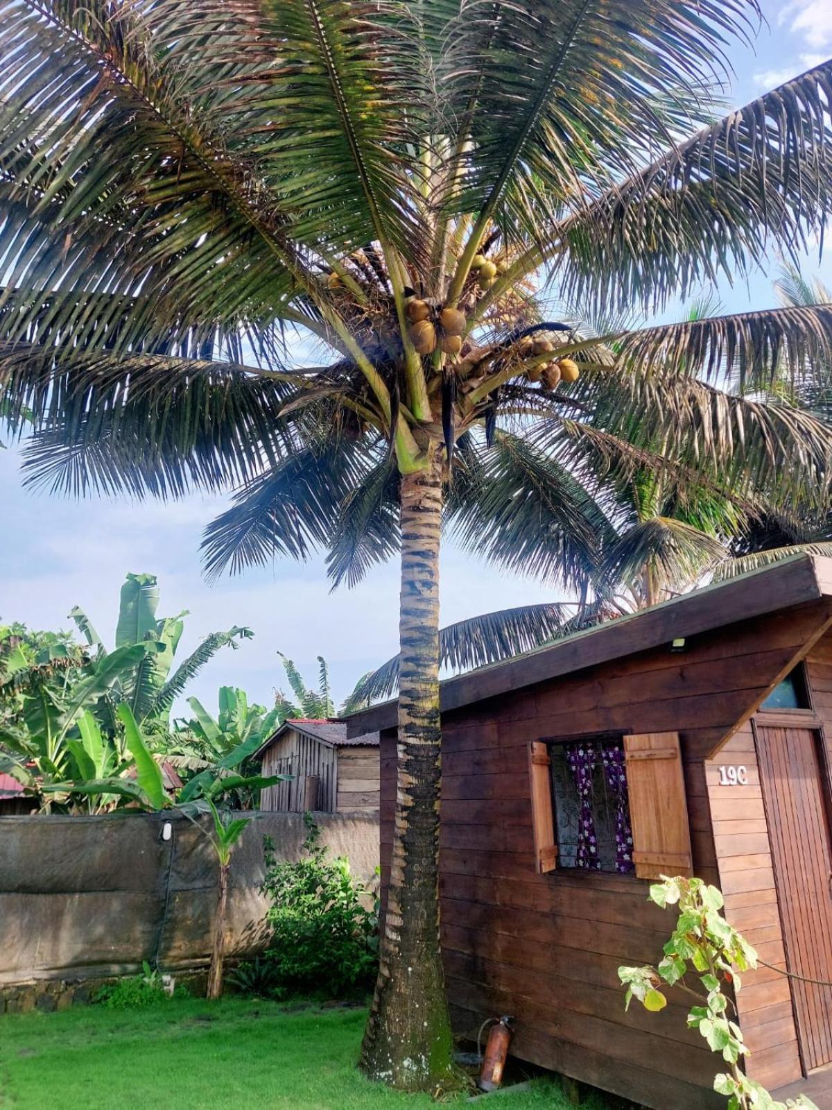 Gente D'Aqui Nge D'Ai Ee Villa Sao Tome Eksteriør bilde